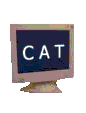 CAT training