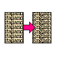 Translation Services